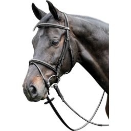 Curved Bridle with Decorative Details, Black