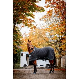 Horseware Ireland Autumn Cooler Sweat Rug, Aqua & Silver - 155 cm