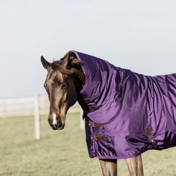 Kentucky Horsewear Neck All Weather 150 g Royal Purple - M