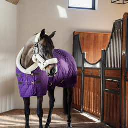 Kentucky Horsewear Manta de Concurso, Royal Purple - 145 cm