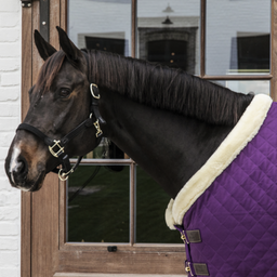 Kentucky Horsewear Попона за турнири, royal purple - 145 cm