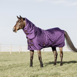 Turnout Rug - All Weather Pro 160 g, Royal Purple - 130 cm