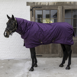 Turnout Rug All Weather 160 g Royal Purple - 130 cm