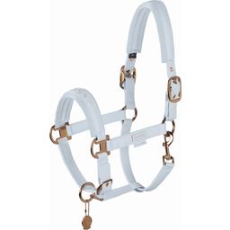 Halter - DOUBLE PIN FAUX LEATHER, Powder Blue - P2