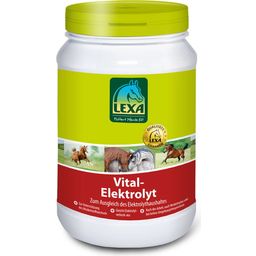 Lexa Vital-Électrolytes