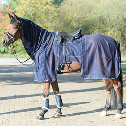 BUSSE Riding Rug - MOSKITO III, Navy - 145 cm