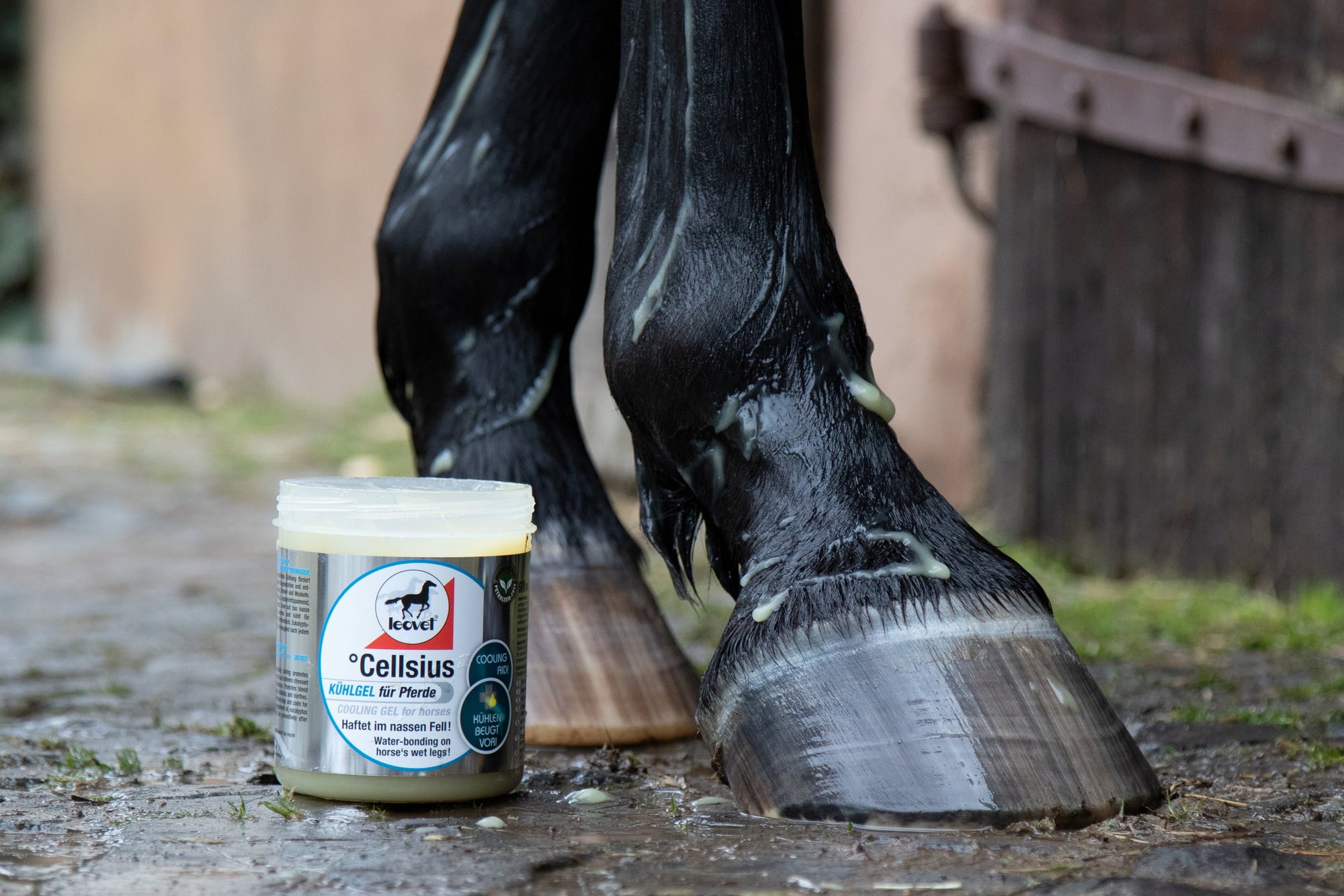 leovet Gel Refroidissant pour Cheval °Cellsius - 600 ml