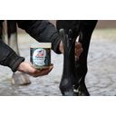 leovet CELLSIUS Koelgel voor Paarden - 600 ml