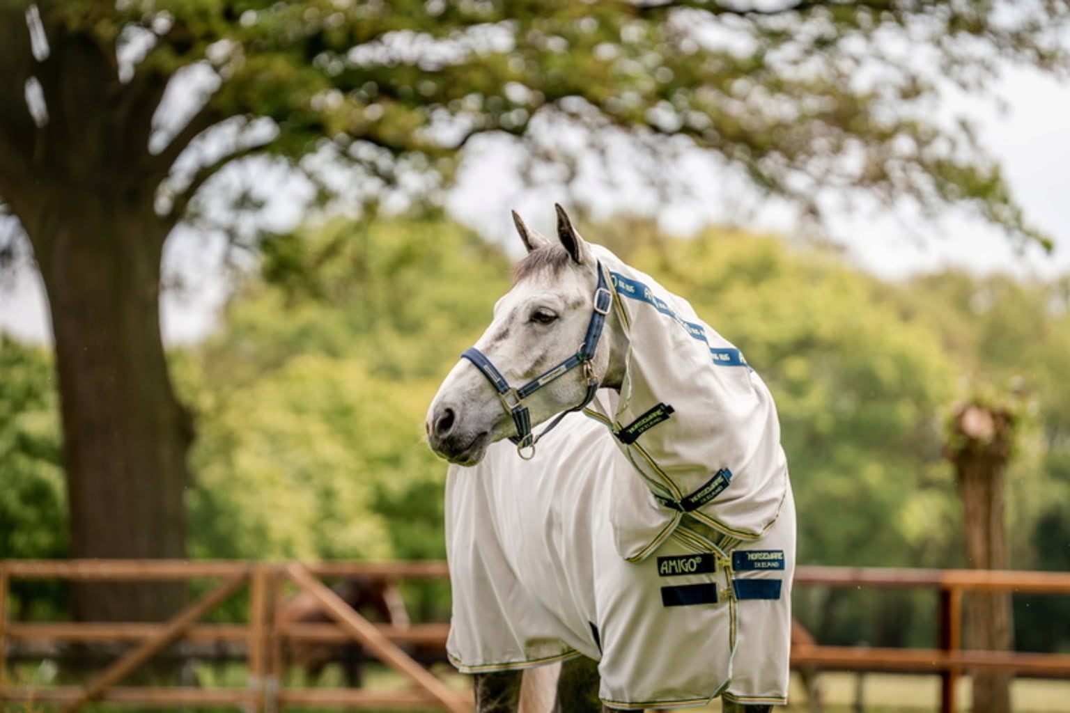 Horseware Ireland Amigo Bug Rug Lunar Rock/Navy & Lime - 145 cm