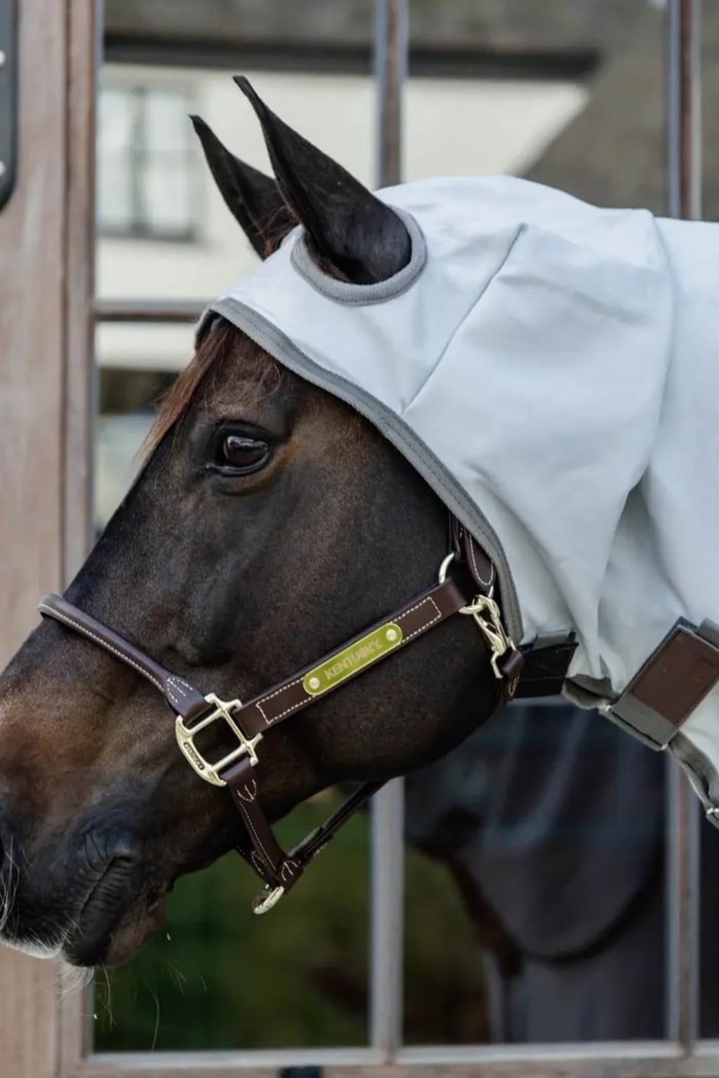 Kentucky Horsewear Ekzemerdecke mit Halsteil - 160 cm