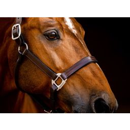 Horseware Ireland Oglavka Signature Leather, Brown - Full