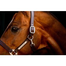 Horseware Ireland Leder-Halfter Signature 