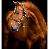 Horseware Ireland Leder-Halfter Signature "Black"