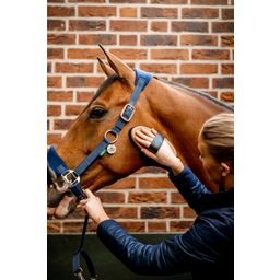 Horseware Ireland Oglavka Signature Grooming, Navy - Full