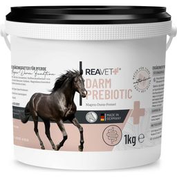 REAVET Gut Prebiotic for Horses