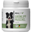 REAVET Green-Lipped Mussel Capsules for Dogs - 100 Pcs