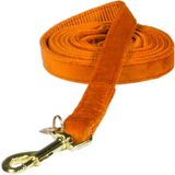 Kentucky Dogwear Velvet Dog Lead - Orange, Small