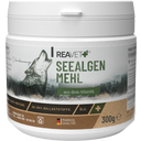REAVET Seaweed Meal for Dogs - 300 g