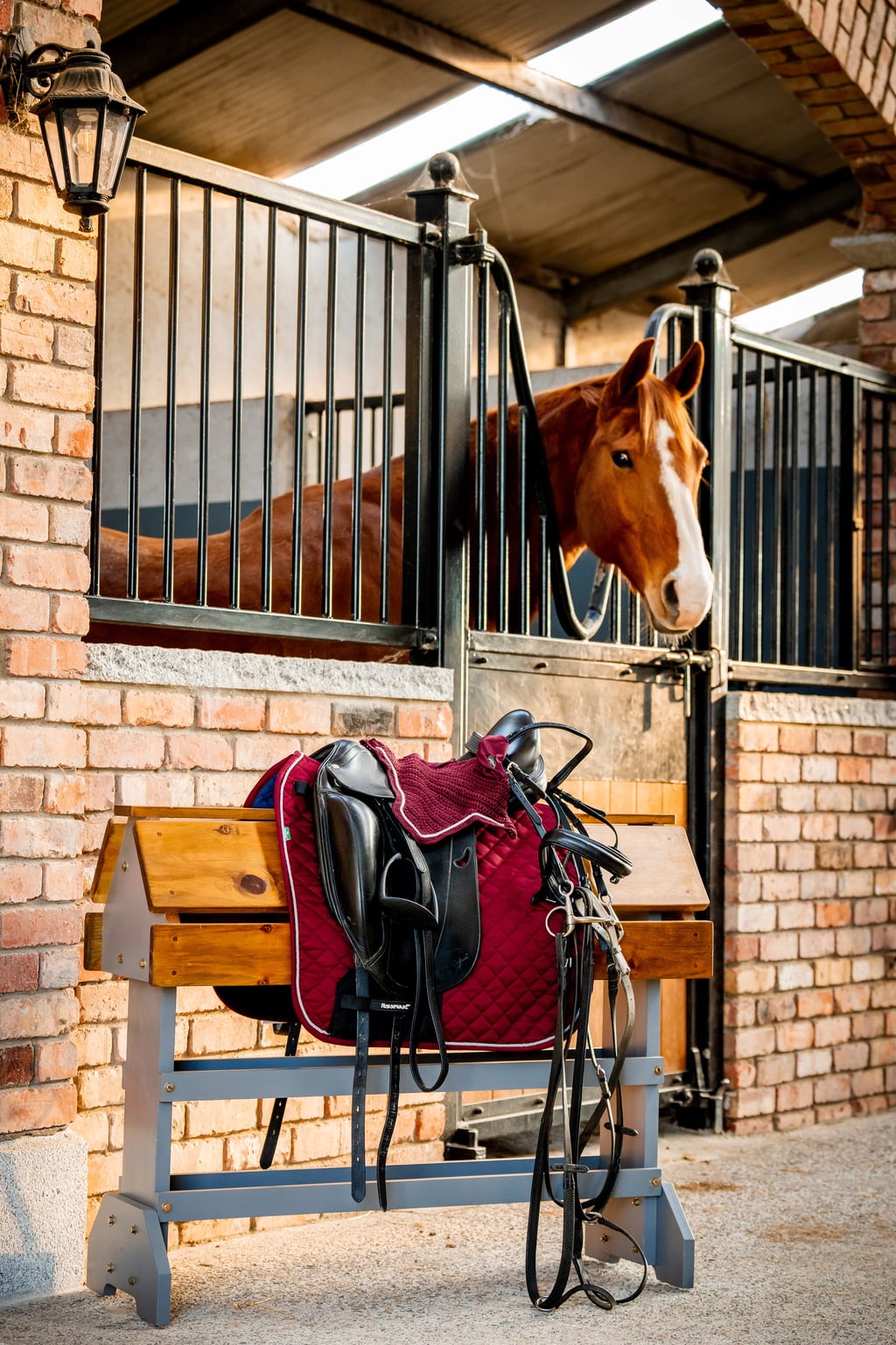 Dressurschabracke Signature Vollblut/Warmblut - Burgundy