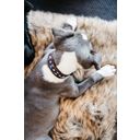 Kentucky Dogwear Dog Collar - Handmade Pearls, Blue - L (62 cm)