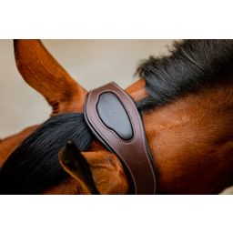 Signature Competition Headcollar - Brown & Navy - Full