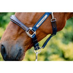 Signature Competition Headcollar - Brown & Navy, Full - 