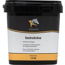Equanis GastroActive - 1,50 kg