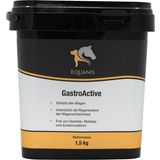 Equanis GastroActive
