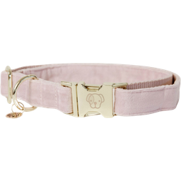 Kentucky Dogwear Dog Collar Velvet, Soft Rose