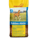 Marstall Fohlen Aktiv - Musli dla źrebaków - 20 kg