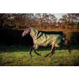 Amigo Hero Ripstop Plus Turnout Rug Lite 0g, Bramble/Winterberry