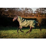 Amigo Hero Ripstop Plus Turnout Rug 100g, Bramble/Winterberry