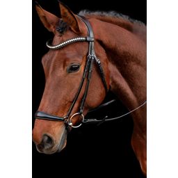 Schockemöhle Sports Bridle Pisa - Black/Silver - cob