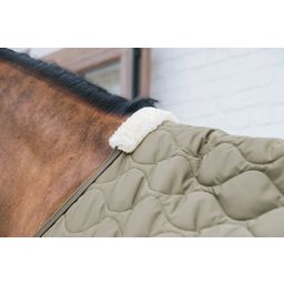 Kentucky Horsewear Transport Combo derka pine green