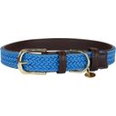 Kentucky Dogwear Hondenhalsband Gevlochten Nylon, Blauw - S (42 cm)