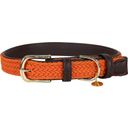 Kentucky Dogwear Plaited Nylon Dog Collar, Orange - S (42 cm)