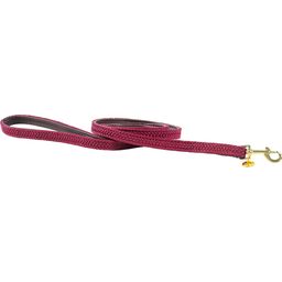 Plaited Nylon Dog Lead - Length 120 cm, Size S - bordeaux