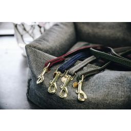 Plaited Nylon Dog Lead - 120 x 1.5 cm, Size L - Navy