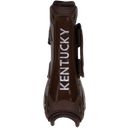 Kentucky Horsewear Tendon Boots Elastic Jumping, M - brown