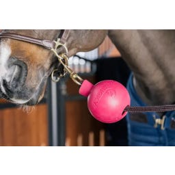 Kentucky Horsewear Balle de Protection, 11,5 cm  - pink