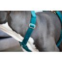 Kentucky Dogwear Loop Velvet Dog Harness, Emerald - S