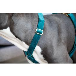 Kentucky Dogwear Loop Velvet Dog Harness, Emerald - S