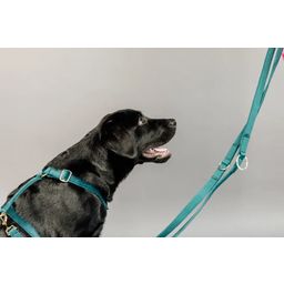 Kentucky Dogwear Loop Velvet Dog Harness, Emerald - S