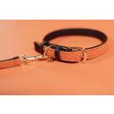 Kentucky Dogwear Obroża dla psa Plaited Nylon, orange - S (42 cm)