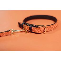 Kentucky Dogwear Gevlochten Nylon Hondenhalsband, Oranje - S (42 cm)