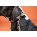 Kentucky Dogwear Hondenhalsband Gevlochten Nylon, Beige - S (42 cm)