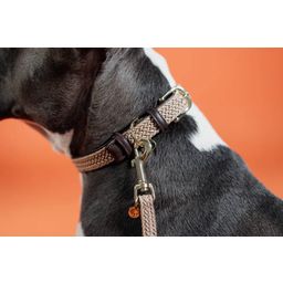 Kentucky Dogwear Hondenhalsband Gevlochten Nylon, Beige - S (42 cm)