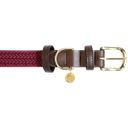 Kentucky Dogwear Hundehalsband Plaited Nylon, bordeaux - M (50 cm)