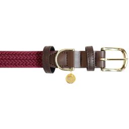 Kentucky Dogwear Plaited Nylon Dog Collar, Bordeaux - M (50 cm)