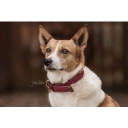 Kentucky Dogwear Hundhalsband Flätad Nylon, vinröd - S (42 cm)